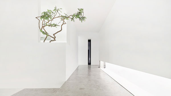 設計空間的留白，綠植的存在更顯空曠與天地寬廣