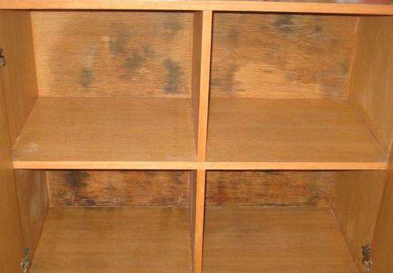 衣柜發霉怎么處理?一學就會