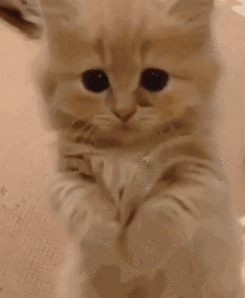 空氣不佳讓你無處可逃？有了它在家永遠如沐春風